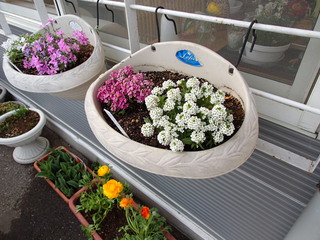 P3220032~1.JPG